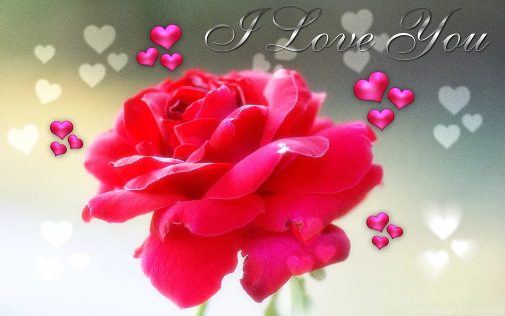 Flower I Love You Wallpapers