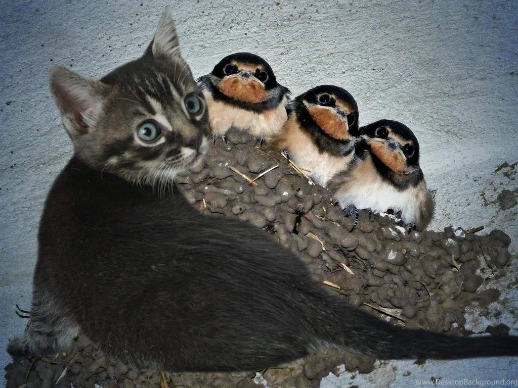 Unbelievable Discovery   (