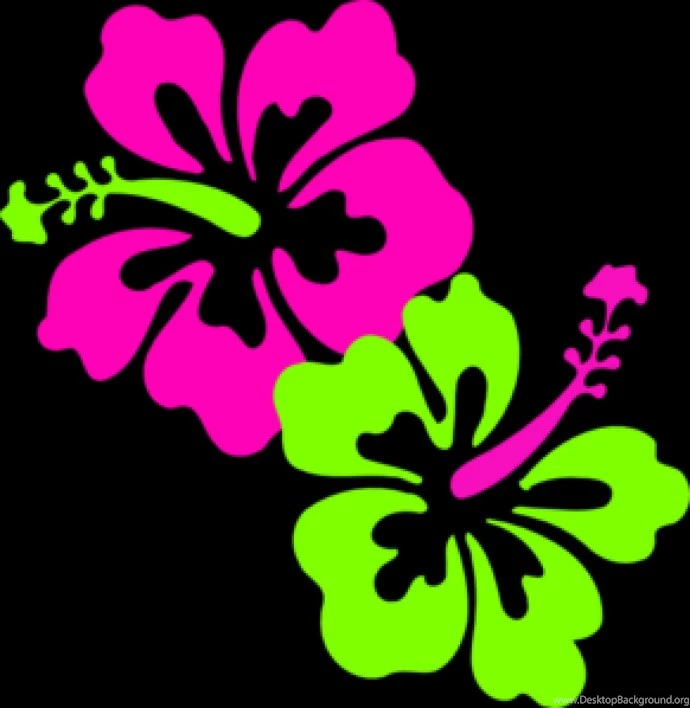 Wallpapers Clip Art Cliparts.co