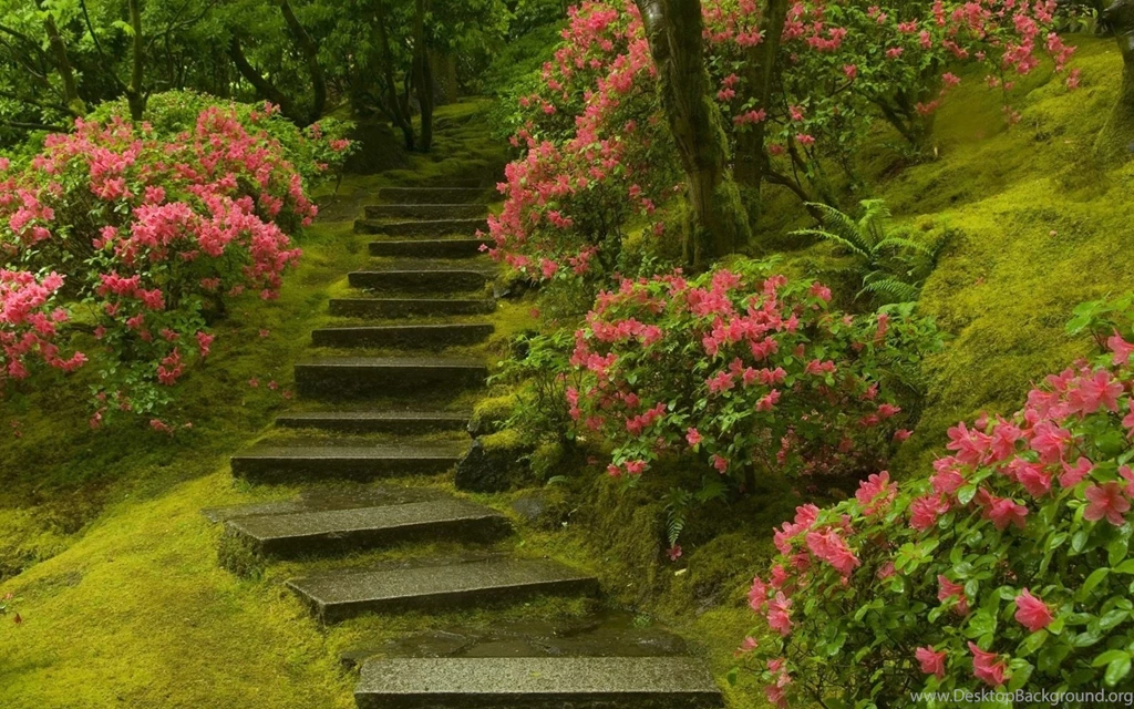 Stair Full HD Unbelievable Wallpapers Free HD Wallpapers Download ...
