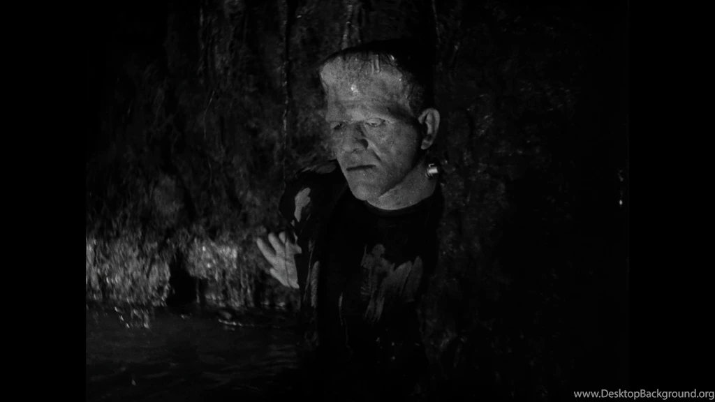 Universal Classic Monsters: The Essential Collection (Blu ray ...