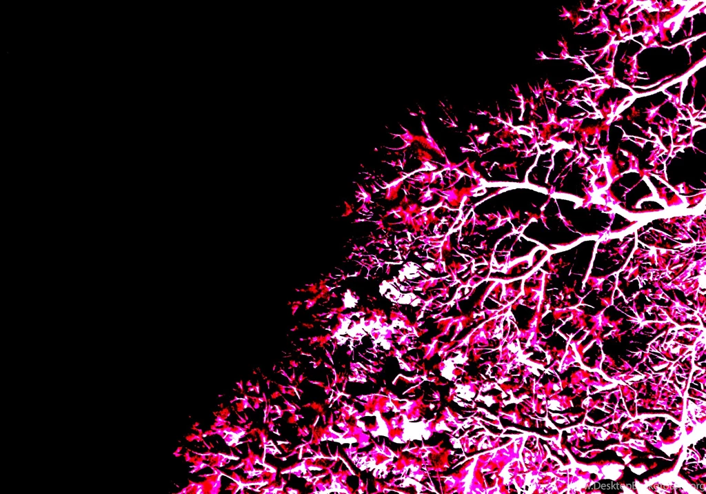 Neon Pink And Green Backgrounds