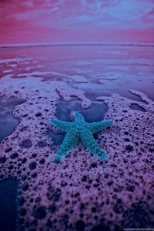 iPhone Wallpapers On Pinterest