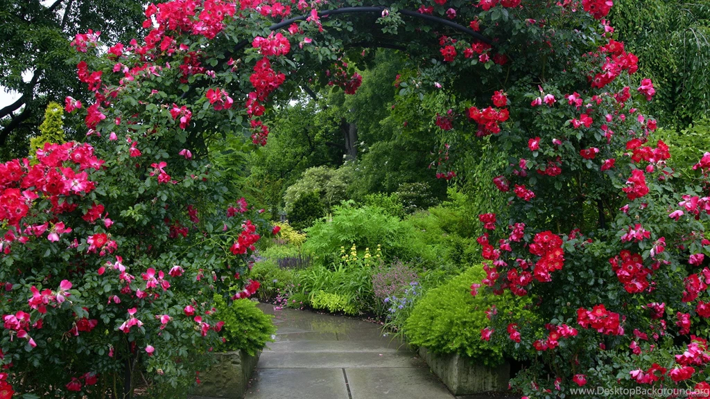 Desktop Apple Garden Wallpapers Download