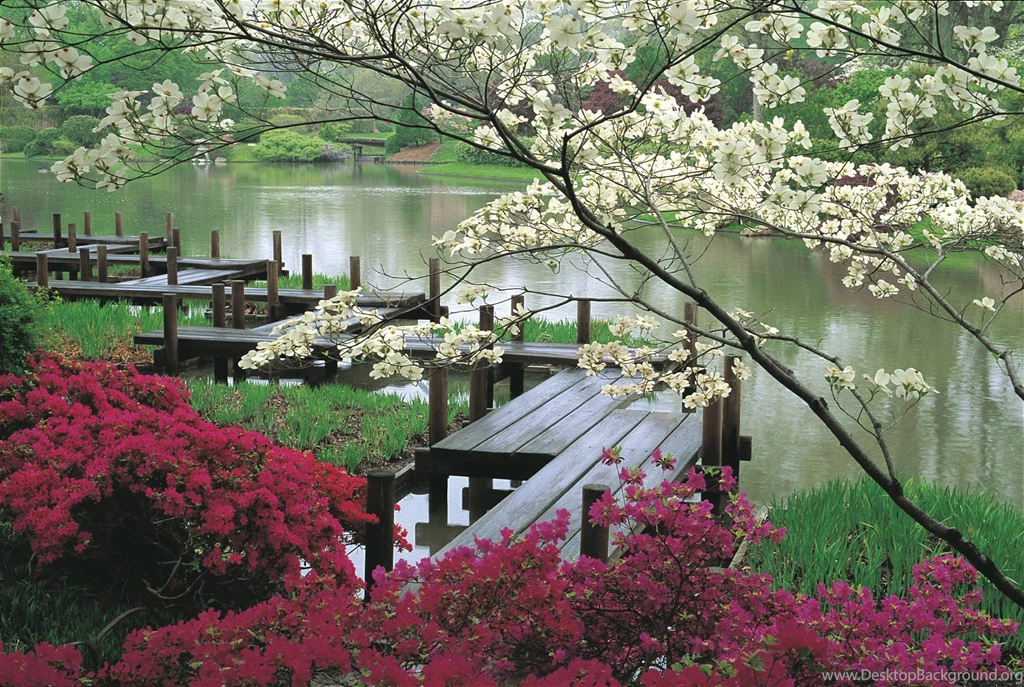 Japanese Garden Wallpapers For Android Uncalke.com