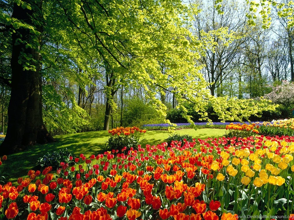 Spring Wallpapers For Computer Desktop