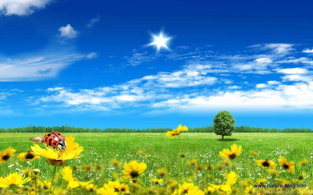 Spring Computer Wallpapers Wallpapers Cave