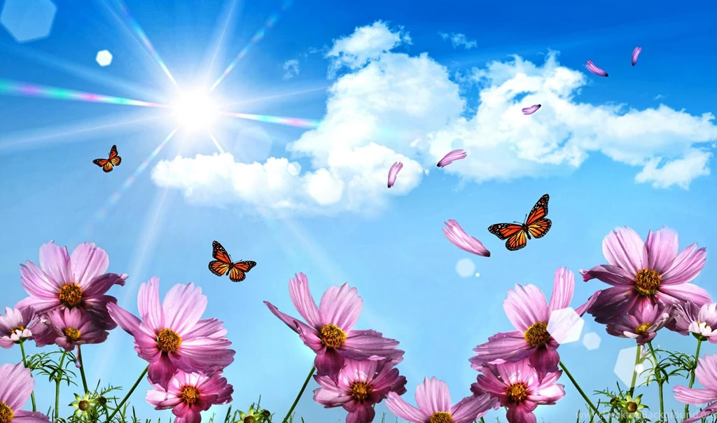 Spring Wallpapers For Desktop ~ Toptenpack.com