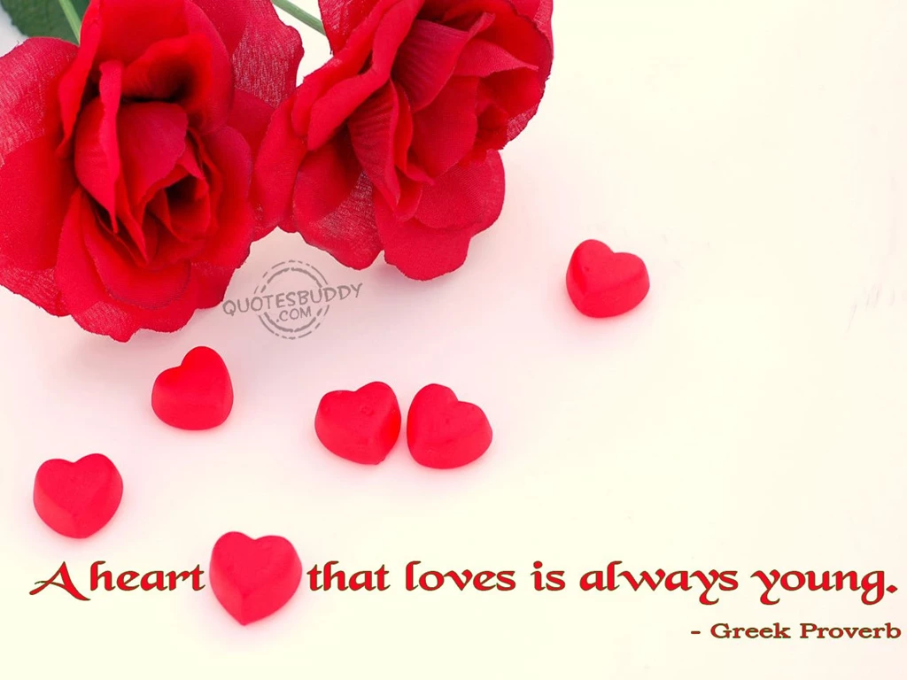 Funny Love Quotes Wallpapers, Funny Quotes Wallpapers, Funny Love ...
