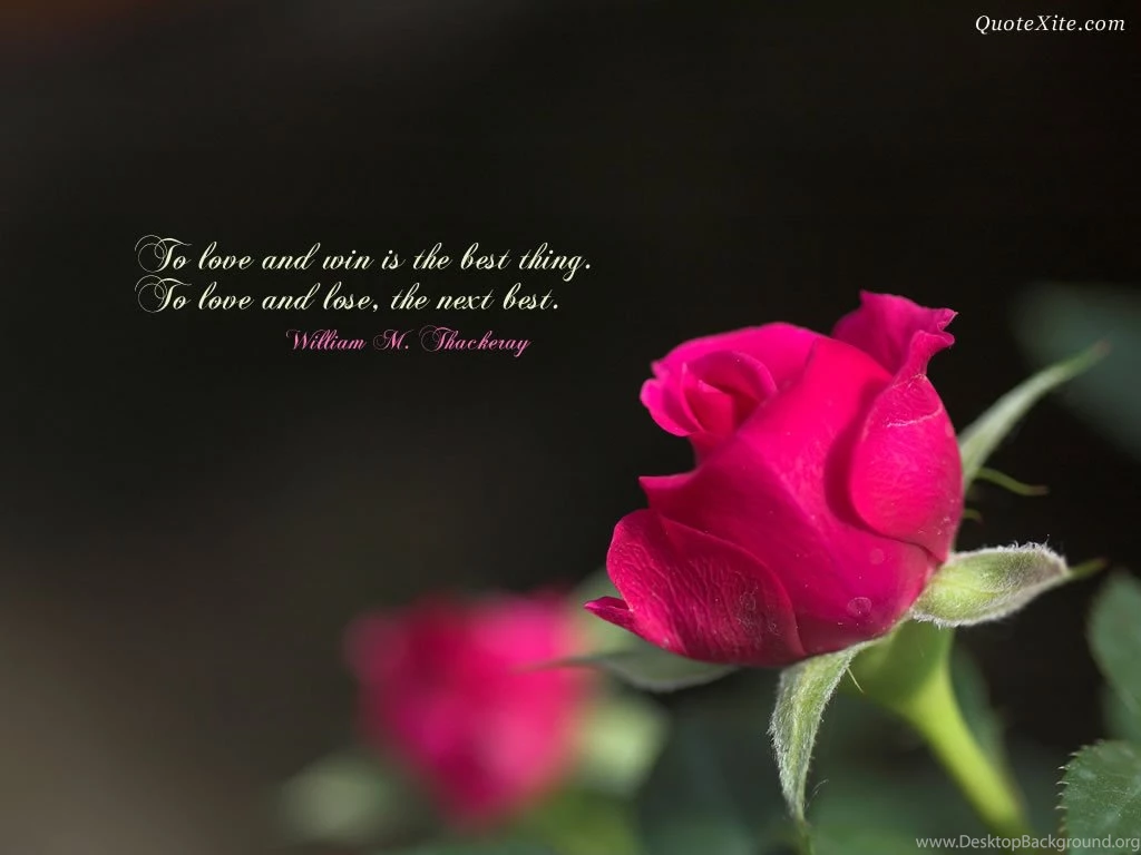 I Love You Wallpapers With Quotes For Him Album On Quotesvil.com