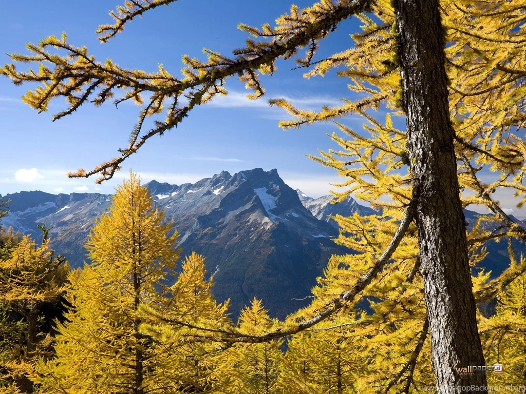 Washington Mountains Wallpapers High Quality