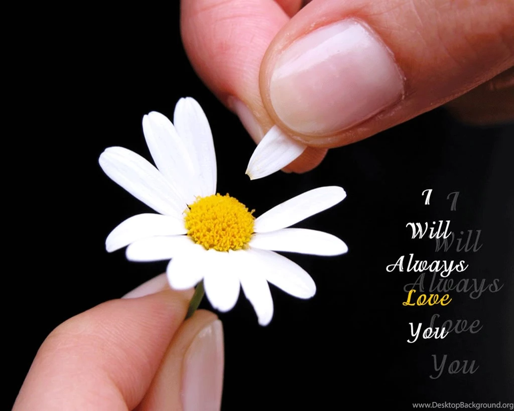 Sad Love Wallpapers With Quotes HD Wallpapers
