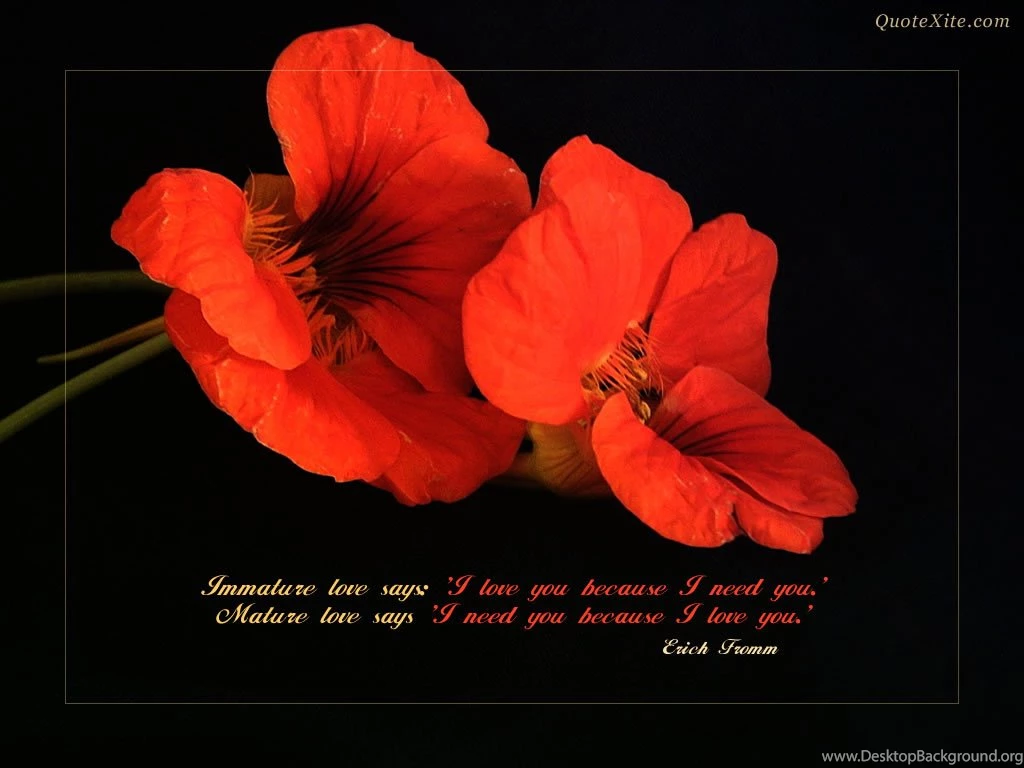 Inspirational Love Quotes Wallpaper. QuotesGram