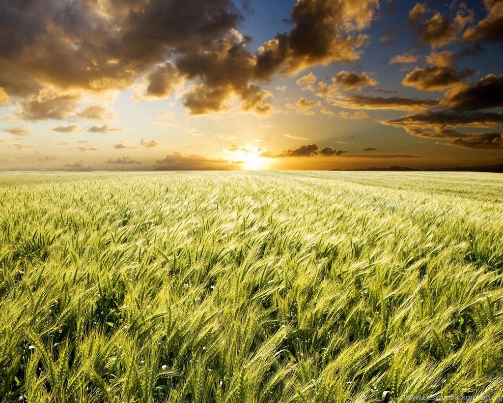 Natural Wallpapers