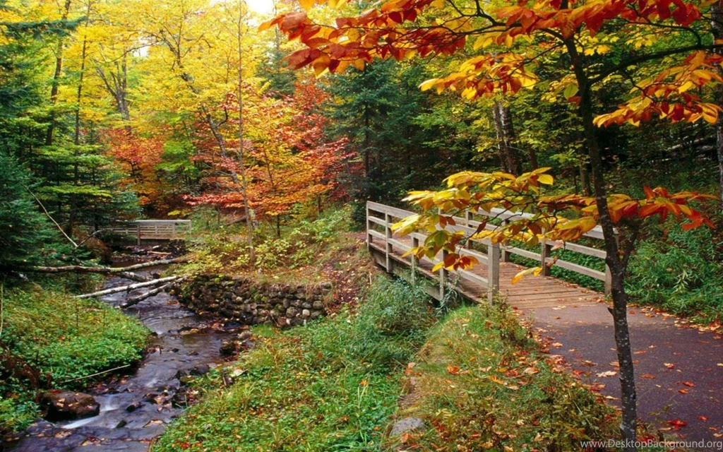 Fall Scenery Wallpapers Desktop Wallpapers Zone