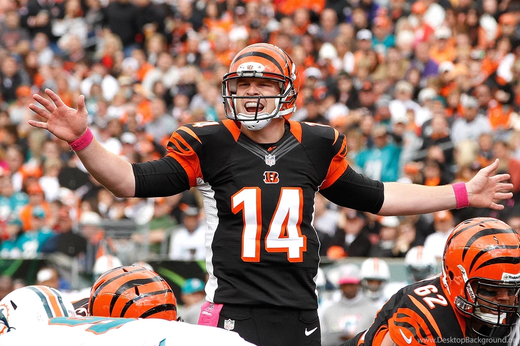 Cincinnati Bengals Wallpapers HD Backgrounds Download Desktop ...