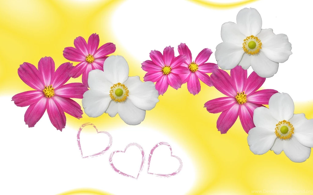 Wallpapers Hight: Flower Wallpapers