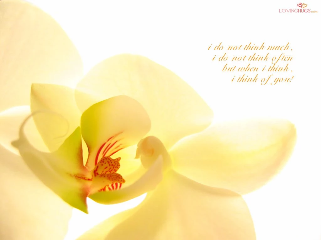 Wallpapers Hight