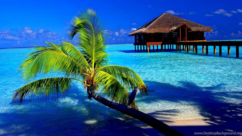 Tropical HD Backgrounds / 1920x1080