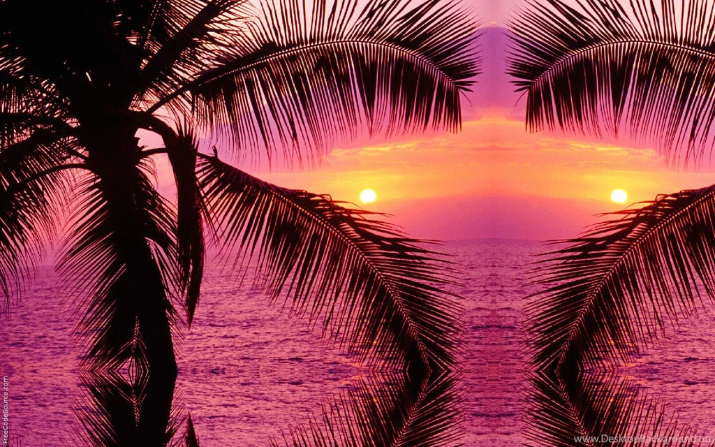 Luau Backgrounds