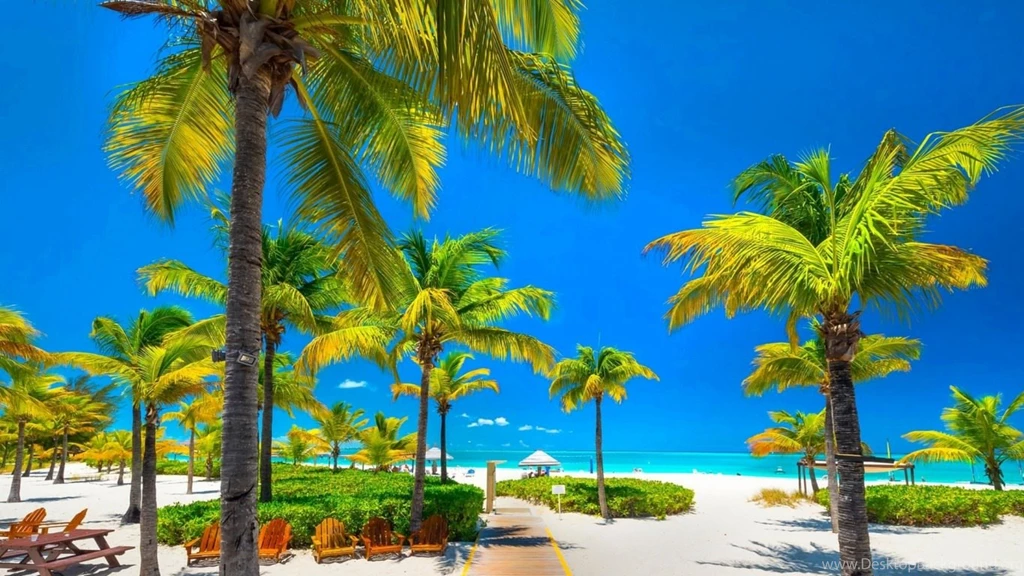 20+ Tropical Backgrounds, Wallpapers, Images