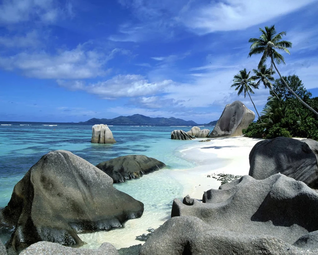 20+ Tropical Backgrounds, Wallpapers, Images