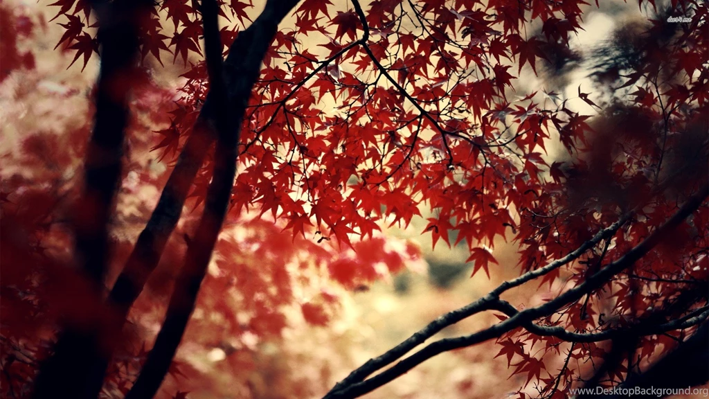 Nature Archivos