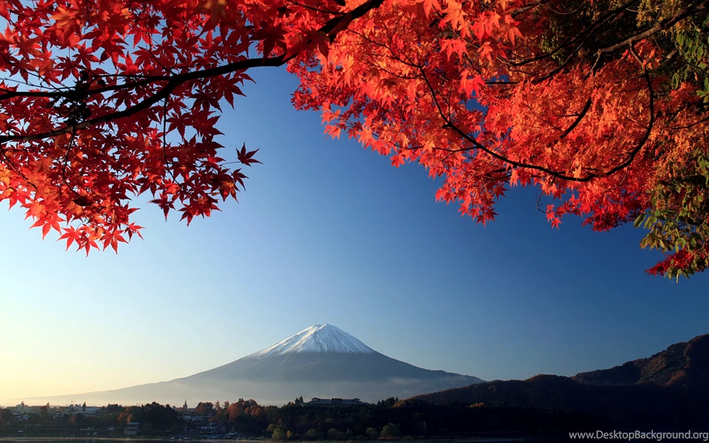 Autumn 2012 wallpapers 20.jpg