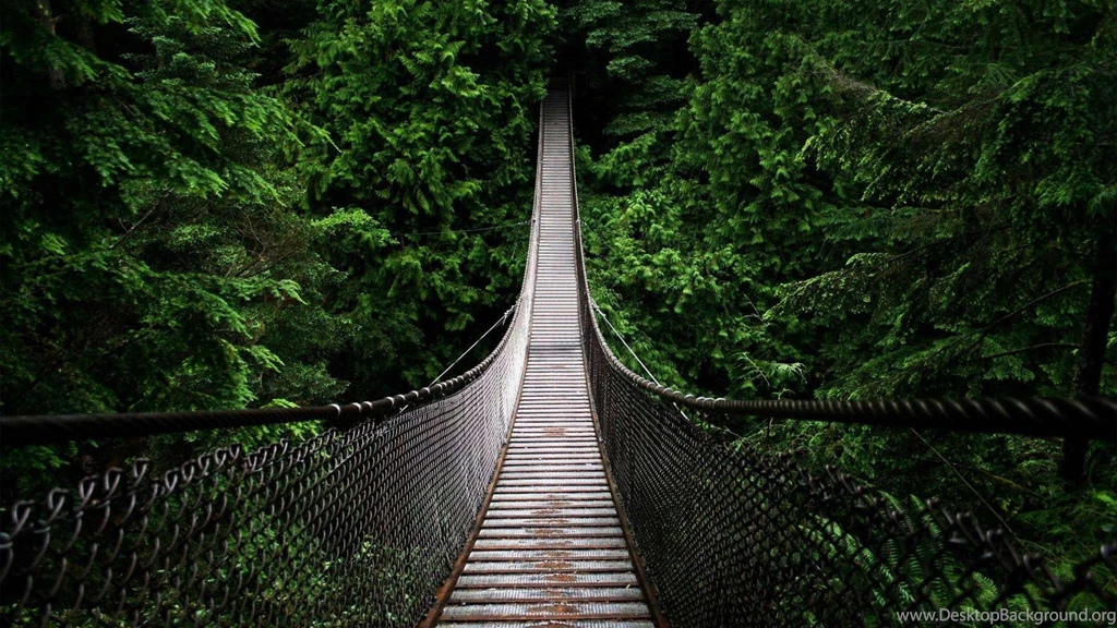 Rainforest Wallpapers » FullHDWpp Full HD Wallpapers 1920x1080