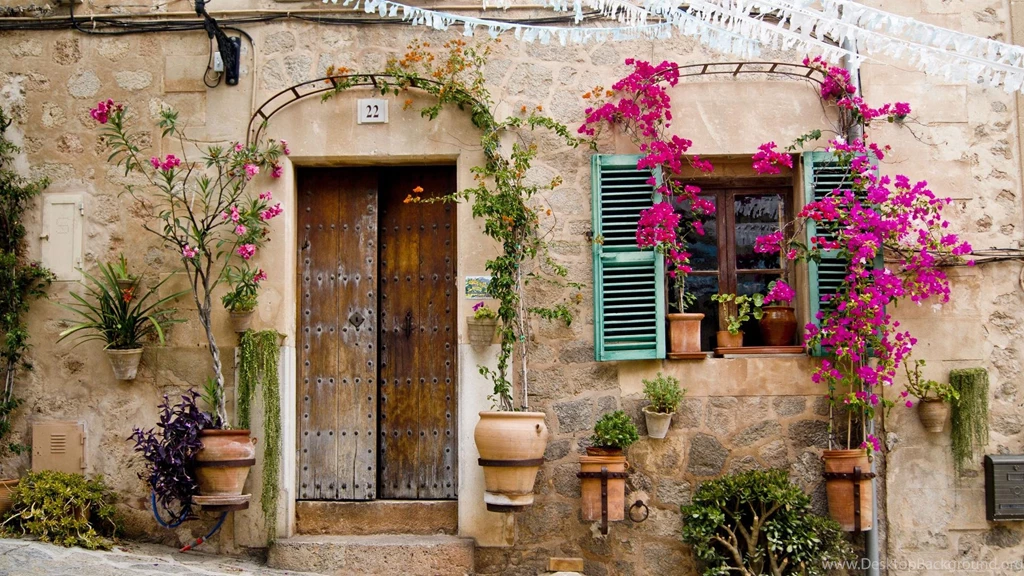 Wooden Door In Majorca   (