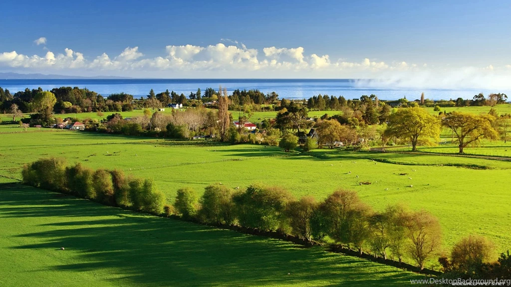 Landscapes Fields