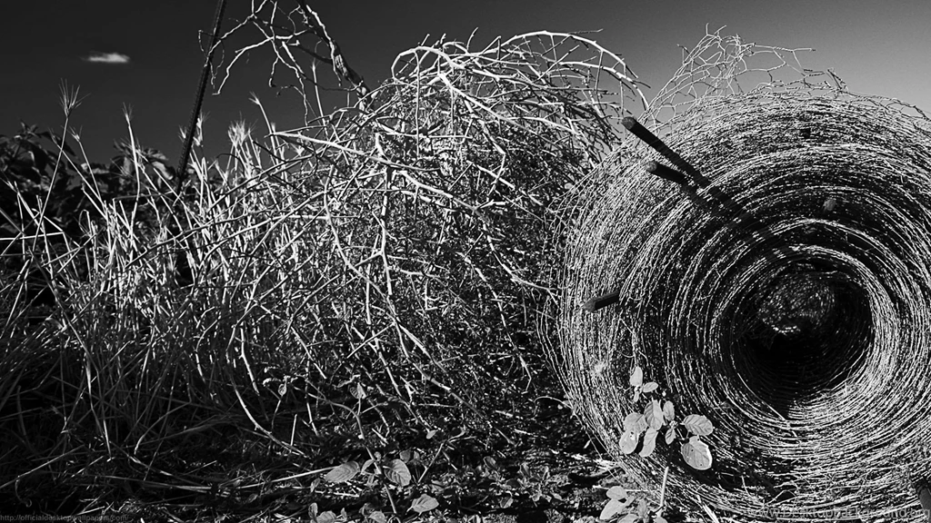 Wallpapers In 1920x1080 HD Resolution HD Çözünürlükte Duvar ...