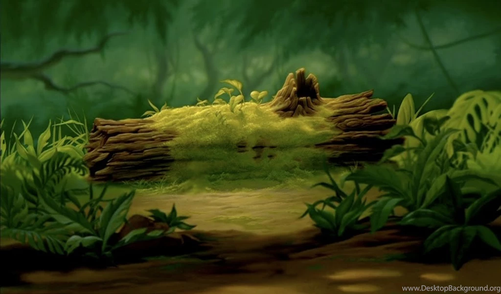 Animation Backgrounds: THE LION KING
