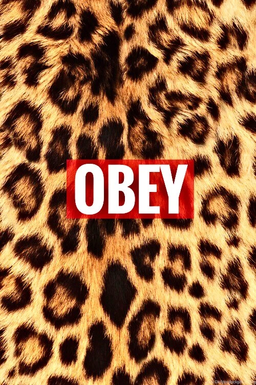 Obey Image