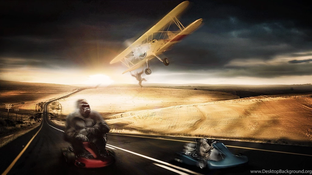 Primates Monkey Fun Desert Macaque Baboon Orangutan Plane Gokart ...