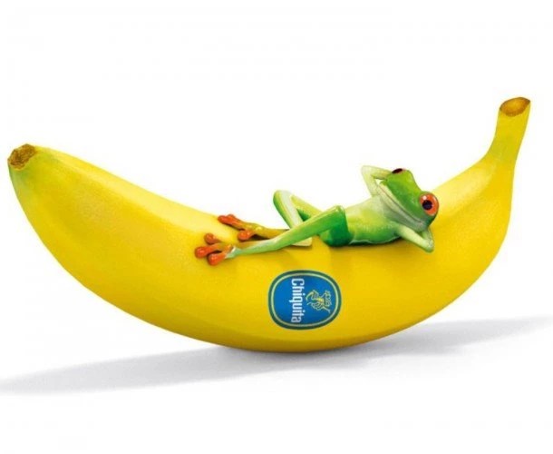 Cute Frog Banana Android Wallpapers