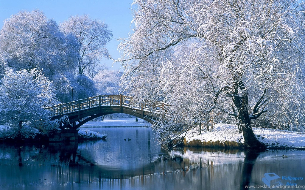 Snow Wallpapers