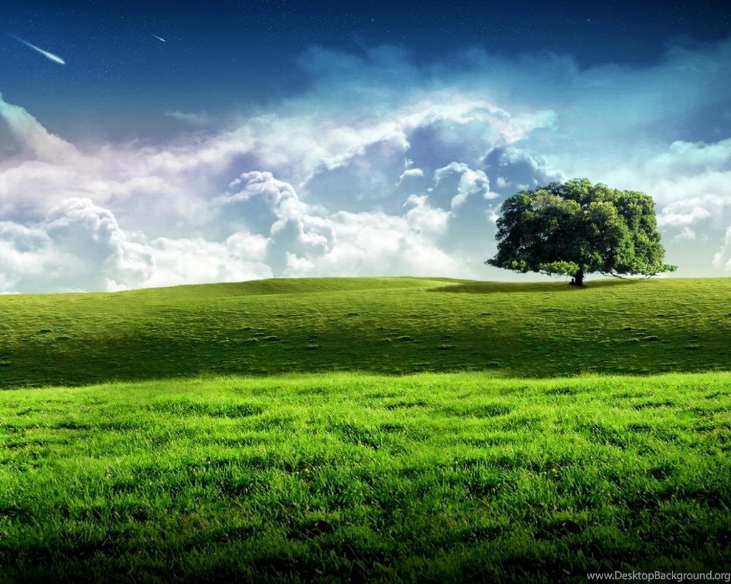 Windows Xp