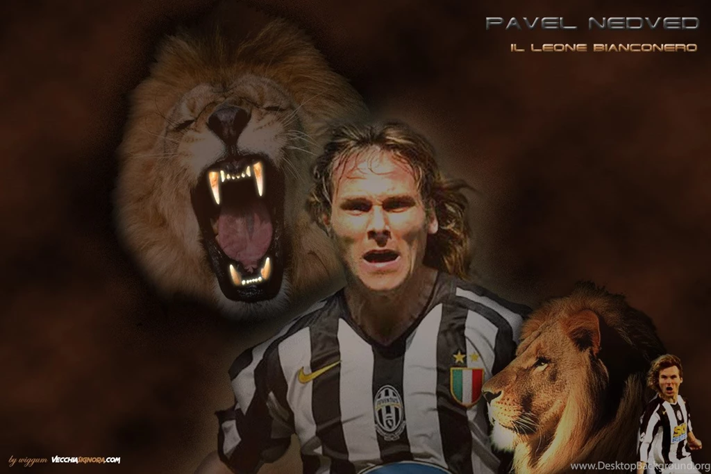 Pavel Nedvěd:El Leon De Praga Taringa!
