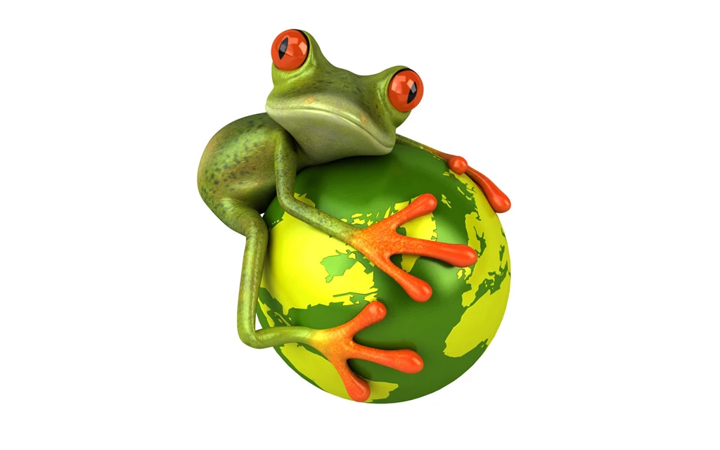 Wallpapers Frogs 3D Graphics Animals Image