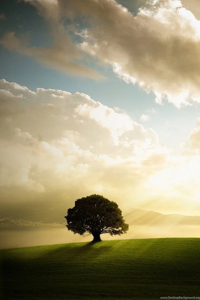 Hd Iphone Wallpapers