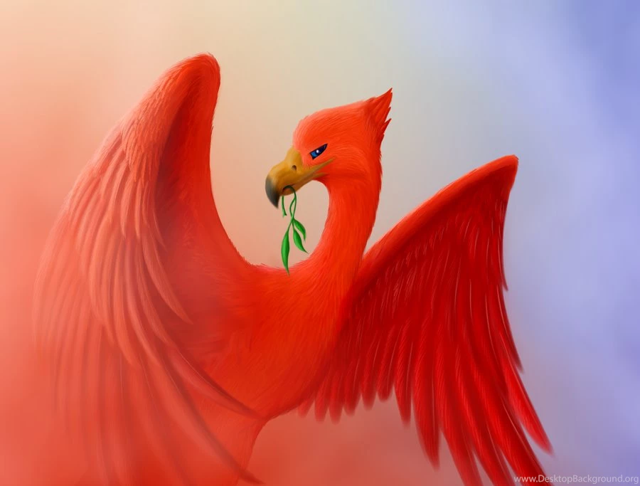 Liverbird DeviantArt