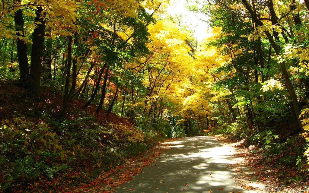 Michigan hd wallpaper.jpg