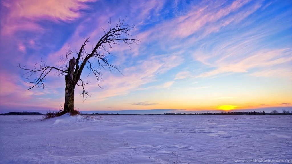 Download Hd Wallpapers Collection (42+)