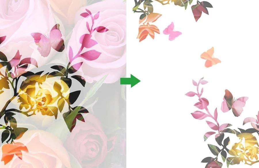 Create Your Unique Wallpapers Mural With Mr Perswall&