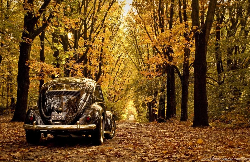 Volkswagen Beetle 2013 Red Image