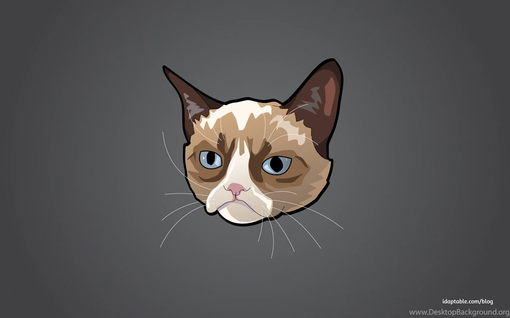 Fonds D'écran Grumpy Cat : Tous Les Wallpapers Grumpy Cat