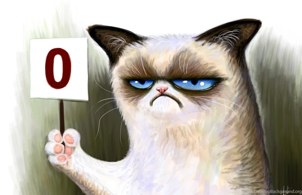 Grumpy Cat Pictureshd Wallpapers