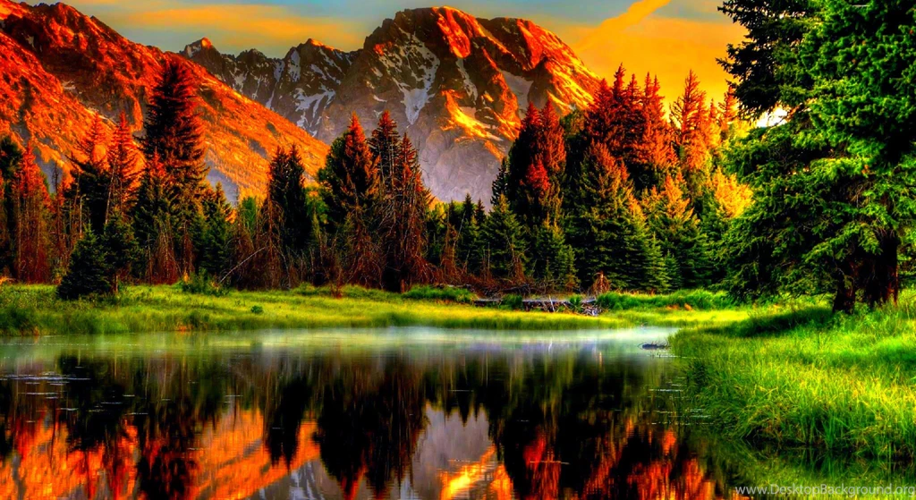 Desktop Backgrounds