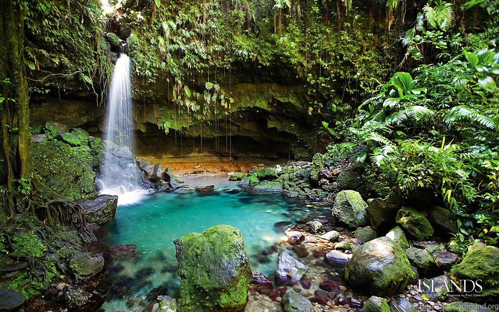Rainforest Waterfall C2Y HD Wallpapers Desktop Backgrounds